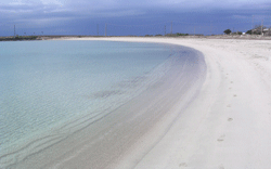 gif salento sallentum.gif