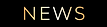 NEWS BUTTON.png