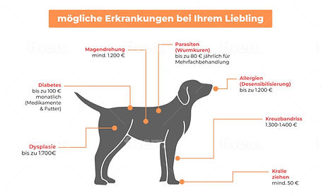 OP-Versicherung Schadenbeispiele.jpeg