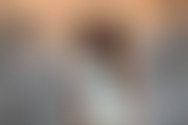 Rasseportrait: Australian Shepherd Dog