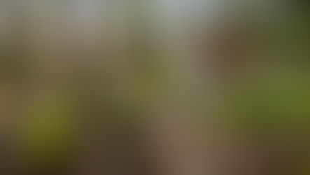 EBSC Lending Issues $28.9M Construction Loan for Denver CRE Developer.