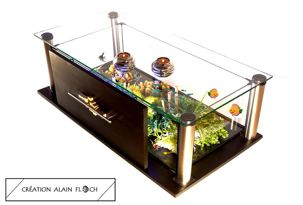 Miniature : Table basse Sculpture OLISTIK- Aquarium Terrarium