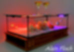 Miniature : Table Basse Aquarium Vitrine VITAE Bois Massif LED Plateau Verre extra-clair