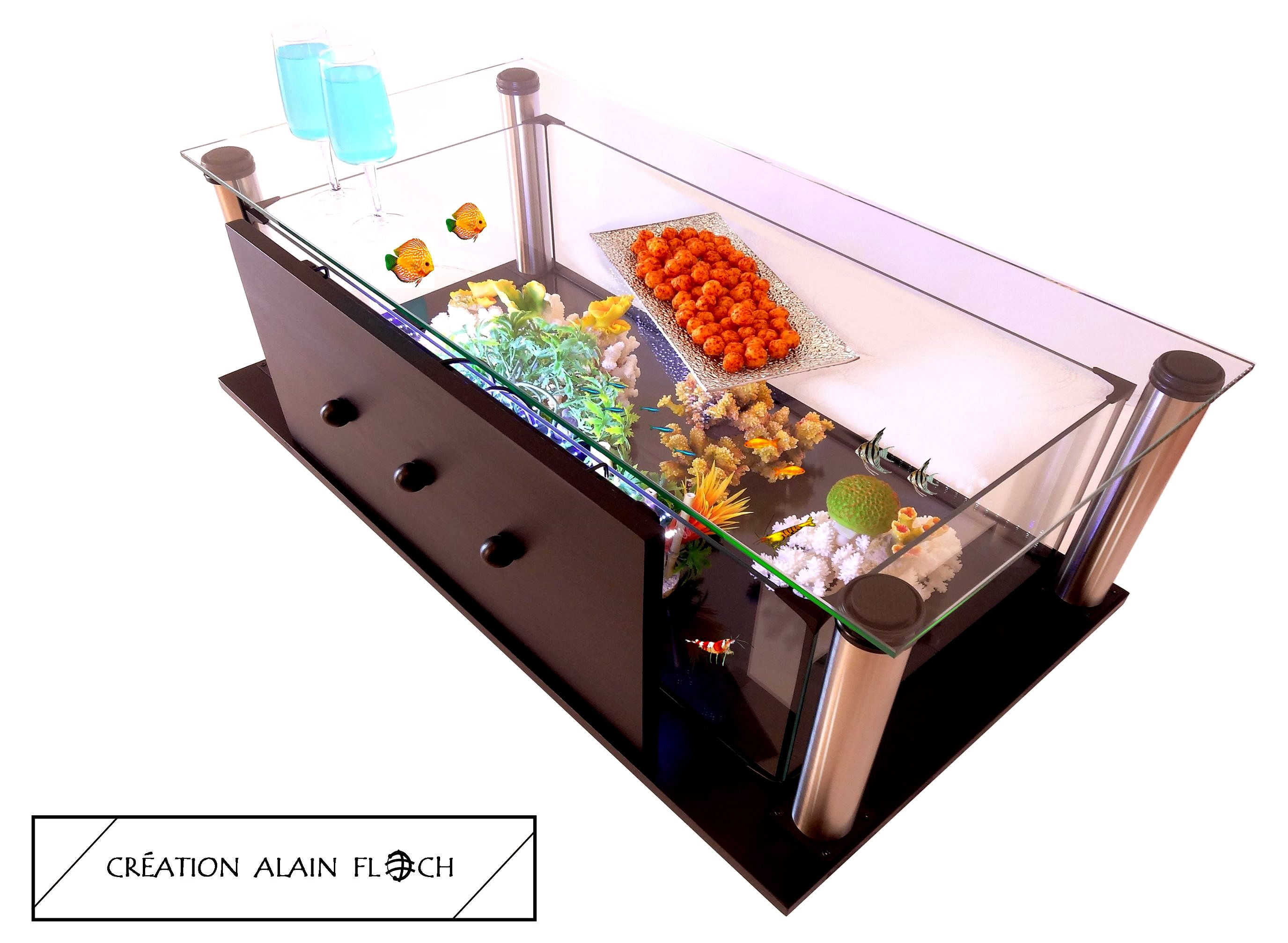 Table basse EXTRAVAGANTE - 100% Bois Massif Noir - Aquarium Terrarium