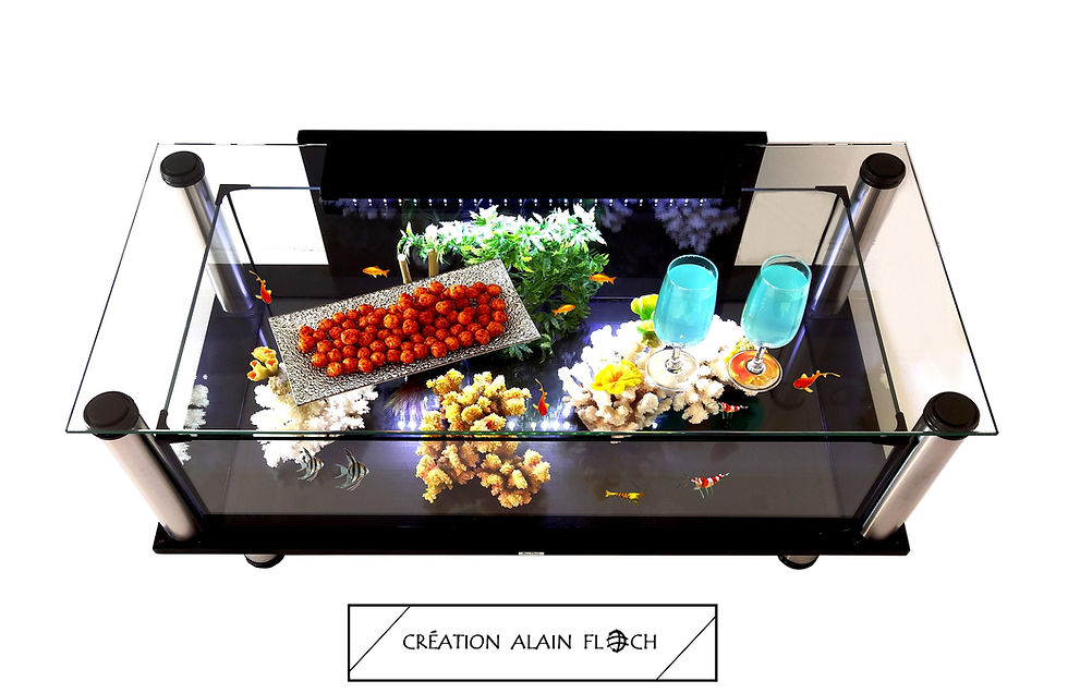 Miniature : Table basse EXTRAVAGANTE - 100% Bois Massif Noir - Aquarium Terrarium