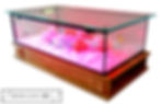 Miniature : Table Basse Aquarium Vitrine VITAE Bois Massif LED Plateau Verre extra-clair
