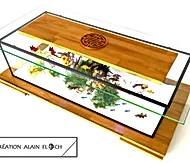 Table Basse Aquarium Vente Conseil Entretien Maintenance Poisson Tortue