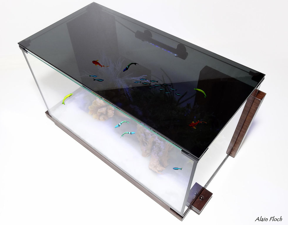 Miniature : Aquarium Design OTENTIK'ART avec Plateau en Verre trempé opaque Noir