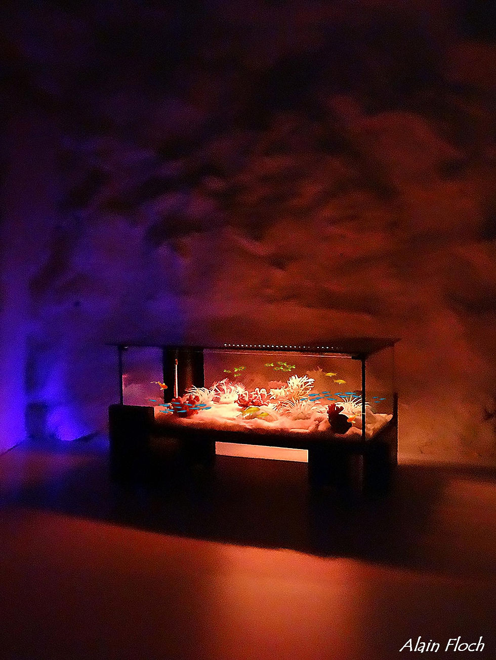 Miniature : Table Basse Aquarium design DREAM'ART Plateau Verre Noir Opaque