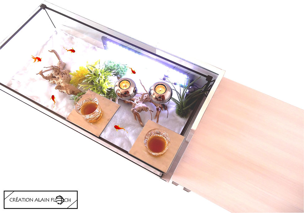 Miniature : Table basse Aquarium MODULABLE 144 cm Plateau Verre Relevable BOIS MASSIF BLANC