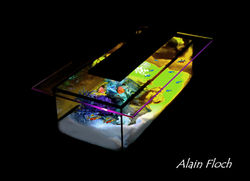 Table-basse-aquarium-poissons