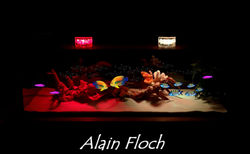 aquarium-sur-table-ESPERANZA-LED