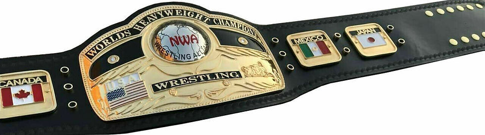 Thumbnail: NWA Domed Globe World Heavyweight Championship Belt