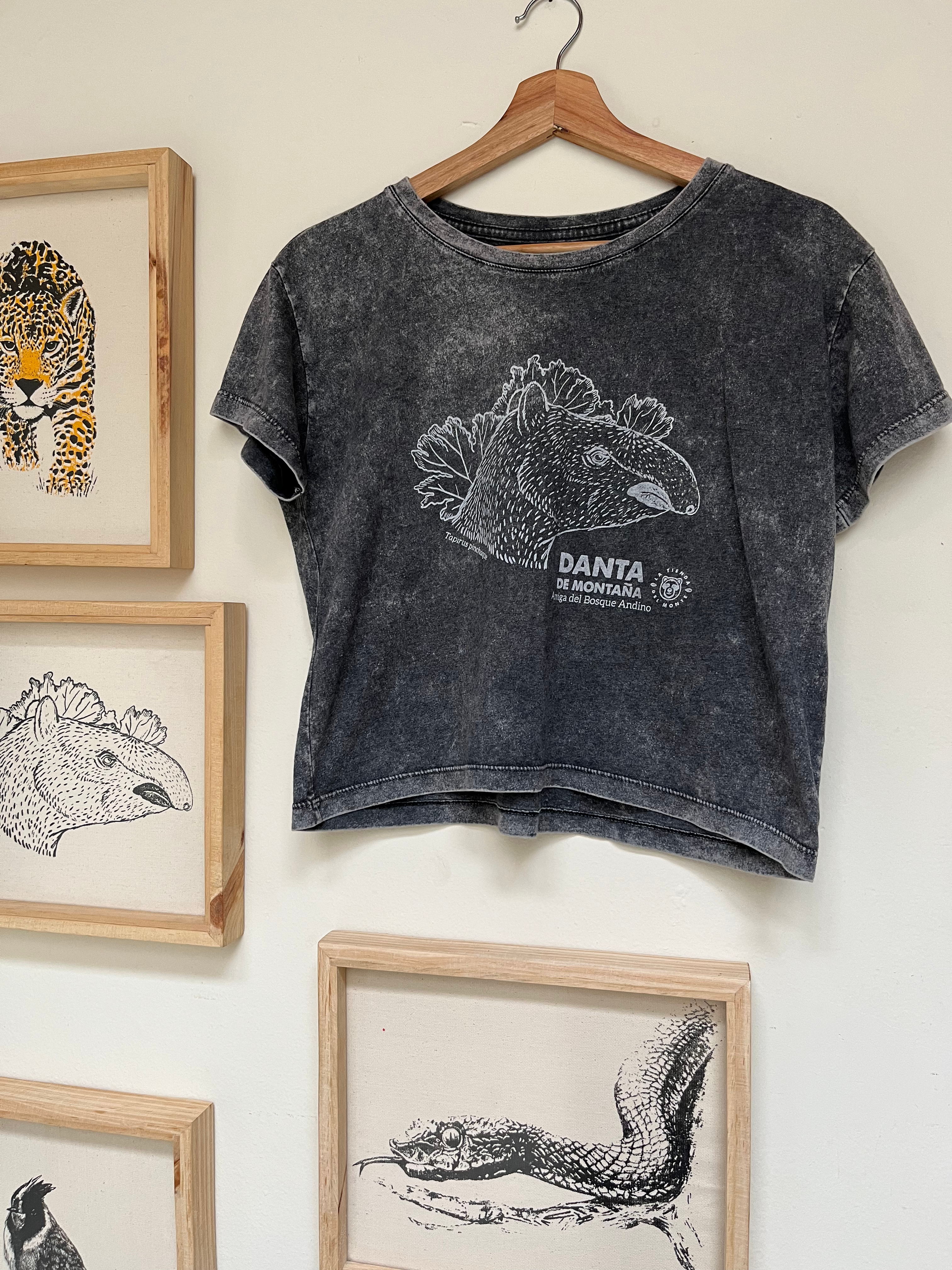 Croptop Danta de Montaña / Talla Única