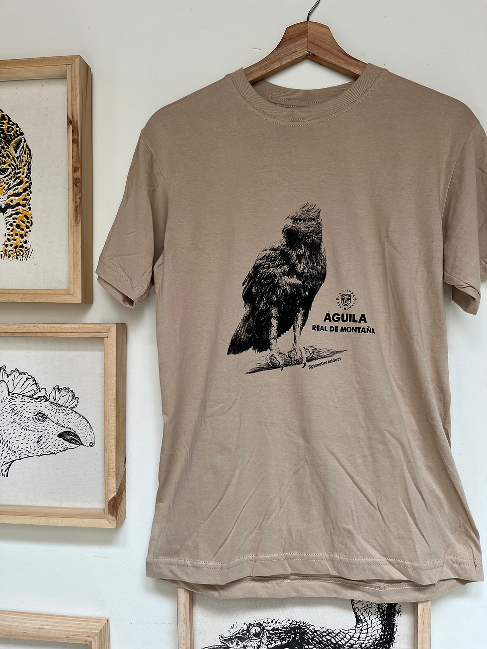 Miniatura: Camiseta Águila Real de Montaña