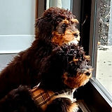 Mo%2520%2526%2520Larry%2520Dec%25202020_