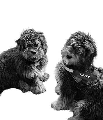Mo & Larry_edited.jpg