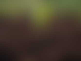 Essential Tips for Optimal Soil Care and Management