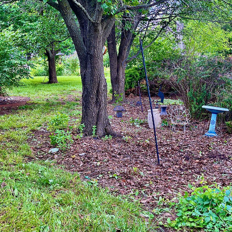 LocalLawns - After Trimming
