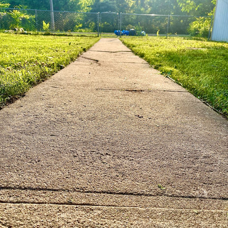LocalLawns - After Yard Transformation