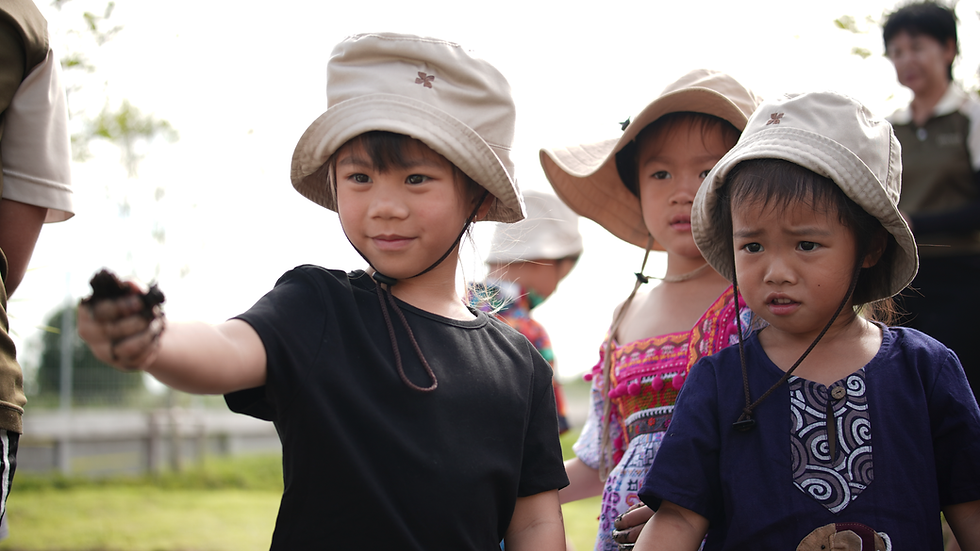25690814-DSC04277.png