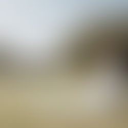 The Value of Experienced Wedding Photographers