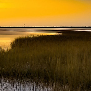 Sunrise in the marsh