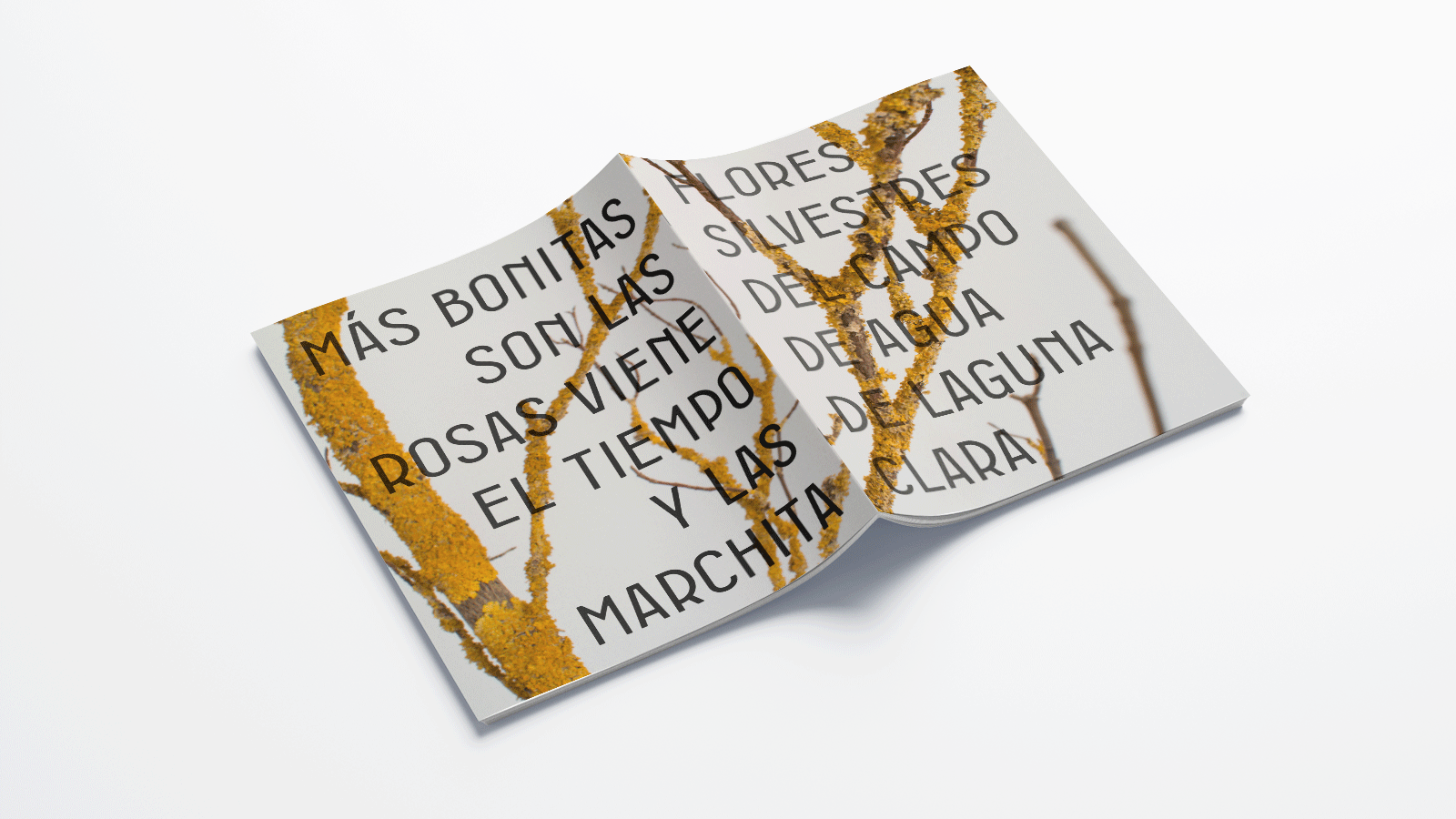 Catálogo - La Mata Flor