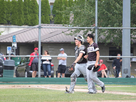 Cardinals Fall to Reds in Playoffs