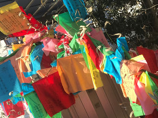 国府宮裸祭りです