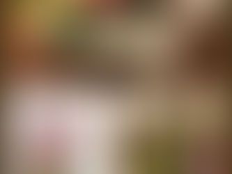 春のアレンジ♪