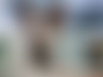 Tres cosas que aprendí de mi perro