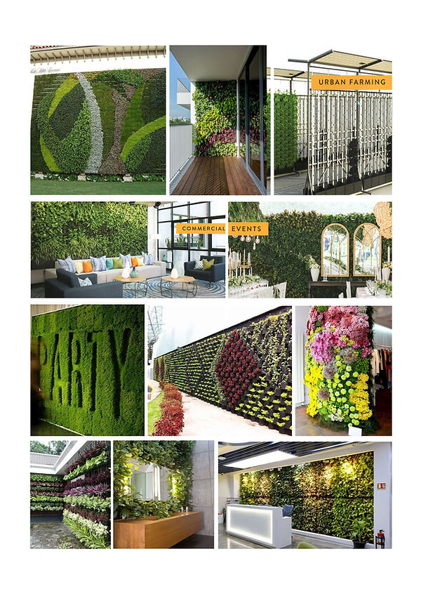 Garden Walls 4.jpg