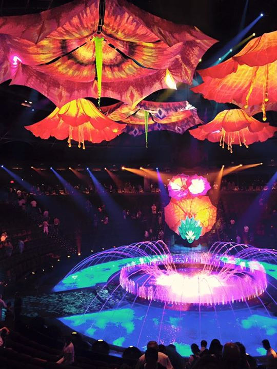 Le Reve / The Dream Las Vegas Show