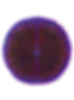 Plant purple.png