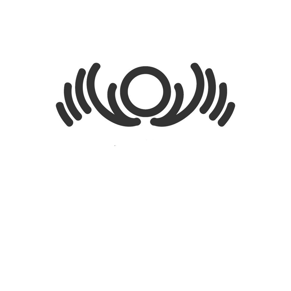 Drums No Guns Logo Symbol Transparent.png