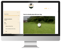 Untitled design-6.png