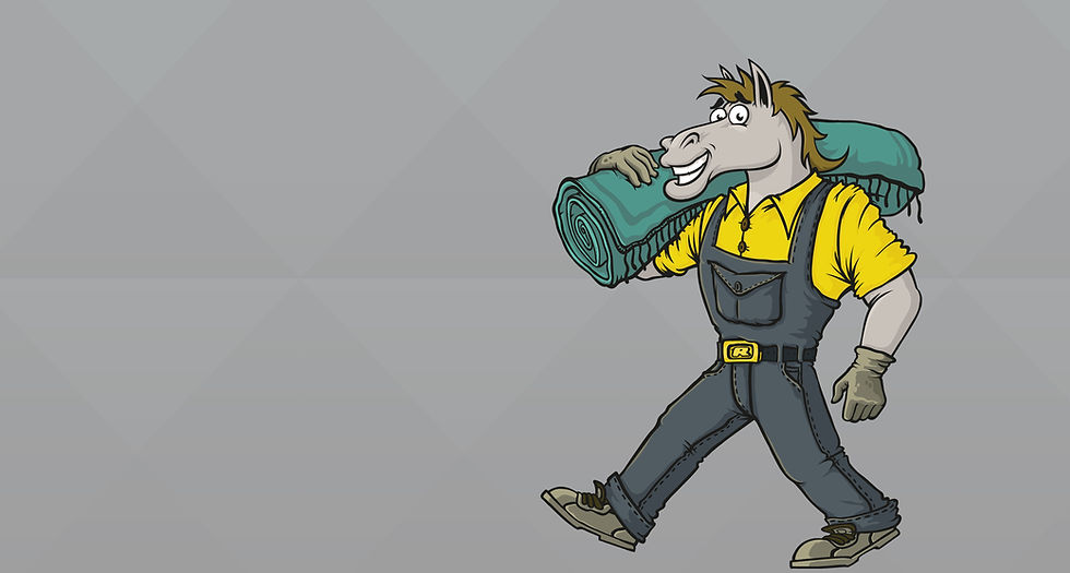 Pferdle_Teppich_Musterbackground.jpg
