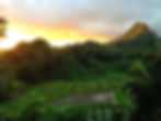 September Hoʻokuaʻāina Lo'i event