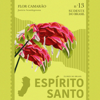 ESP-SANTO.png