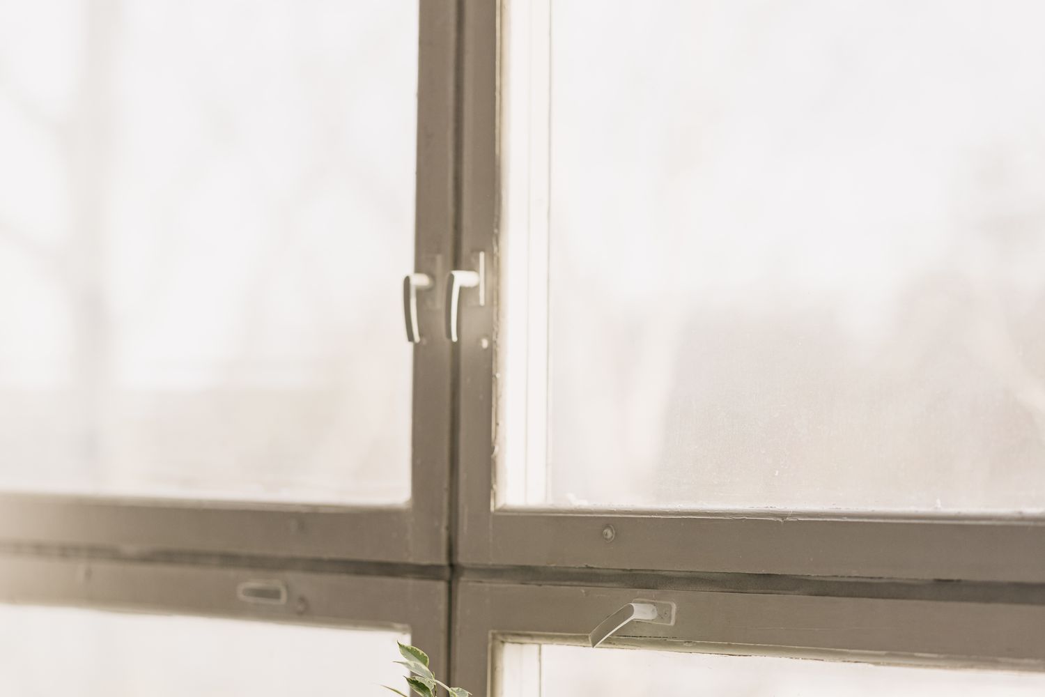 Asthme qualité air intérieur - Impact produits ménagers chimiques et solution nettoyage vapeur Bayonne Pays Basque