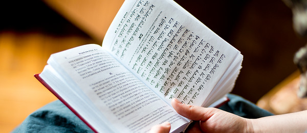 聖書を読む