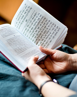 Reading Bible