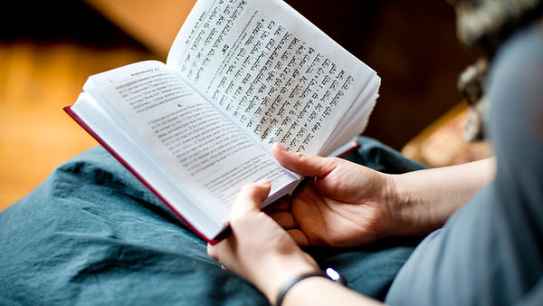 Reading Bible