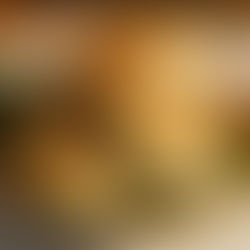 [ 南竿 ] 寶利軒