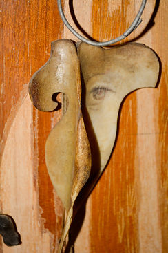 E.Kudinov Bones Eye.jpg