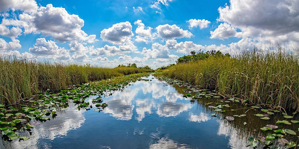 The lifeblood of Florida's southern ecology