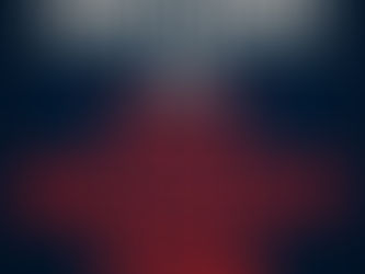 FIRST AMENDMENT PUT TO THE TEST