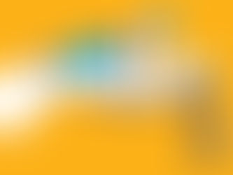 EVERY SHACK, A PALACE! The Problems Created for Consumers by Algorithmic Price Fixing in the Housing Industry