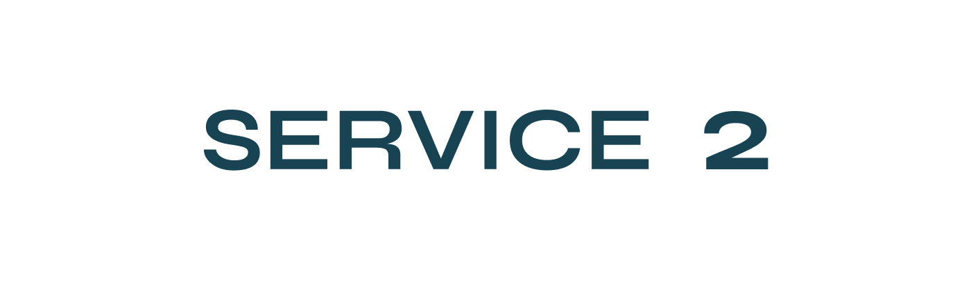 service 2.png